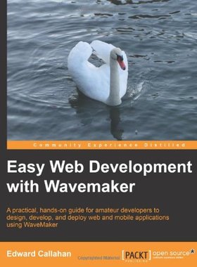 【预售】Easy Web Development with Wavemaker 6.5