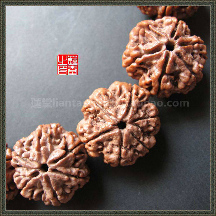 尼泊尔红皮矮桩梅花桩6六瓣大金刚菩提手串手持15颗25mm