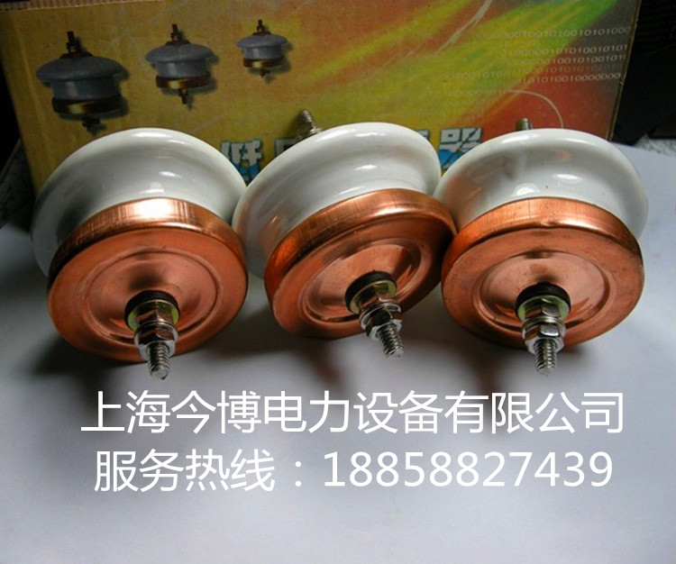 今博电力 陶瓷氧化锌避雷器低压避雷器Y1.5W-0.28/1.3(FYS-0.22)
