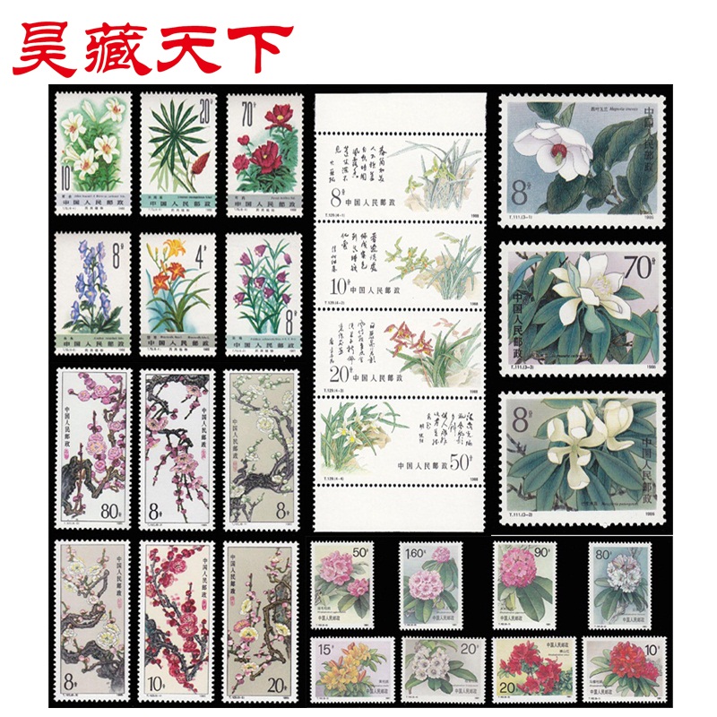 药用植物 梅花 木兰科 兰花 杜鹃花