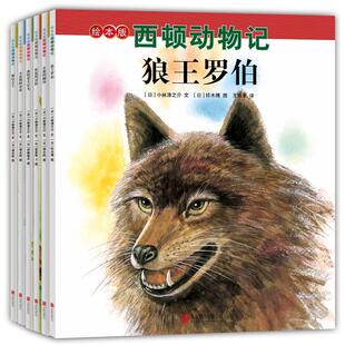 绘本版西顿动物记共6册 狼王罗伯+公鹿的脚印+松鼠的冒险+我的爱犬宾戈+小浣熊阿奇亚+熊山之王 欧内斯特汤普森·西顿 爱心树绘本