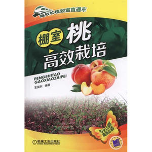棚室桃栽培(种植致富直通车)