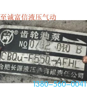 合肥长源液型压齿轮泵CBQU-F550-AFHL