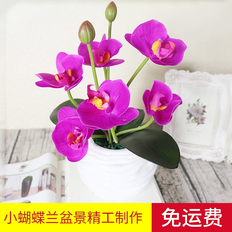 包邮仿真手感蝴蝶兰花艺盆栽干花套装饰假花客厅餐桌摆设摆件花卉
