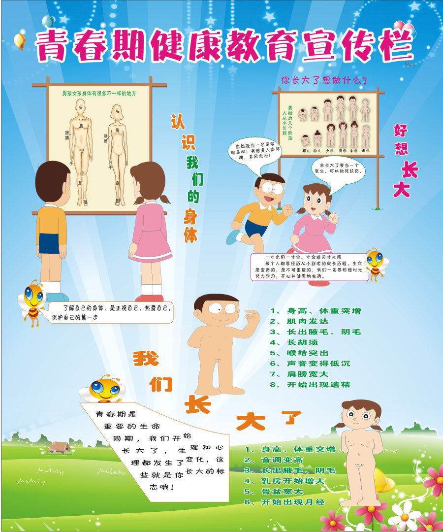 715海报印制展板写真喷绘贴纸986青春期宣传栏2认识我们的身体