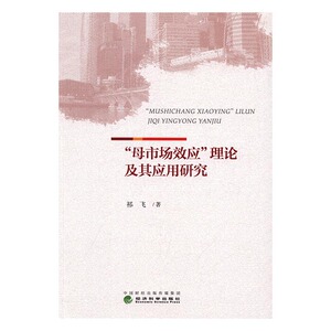 正版 母市场效应理论及其应用研究 祁飞 书店 市场营销理论书籍 书 畅想畅销书