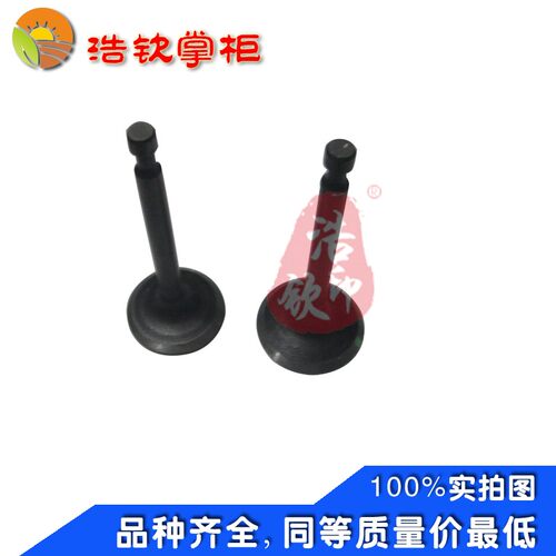 洛阳小白龙微耕机原厂汽油机隆鑫1P75F气门配件天马G旋耕果园机
