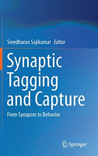 【预订】Synaptic Tagging and Capture