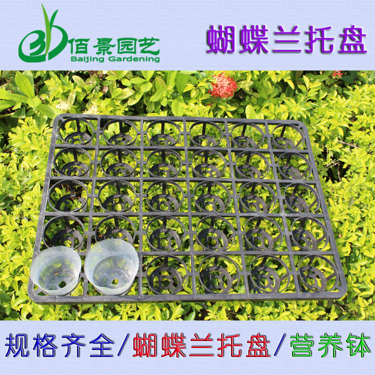 托盘周转盘花场蝴蝶兰育苗托盘花盆底座托盘长方形塑料移动托架