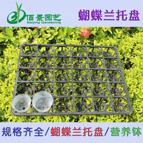 托盘周转盘花场蝴蝶兰育苗托盘花盆底座托盘长方形塑料移动托架
