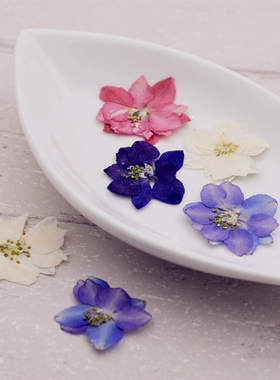 10朵价本色千鸟干花滴胶手机壳