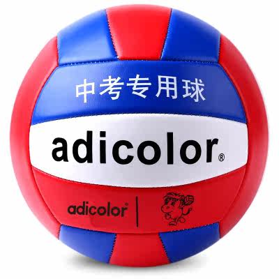 Ballon de volley - Ref 2016095 Image 1