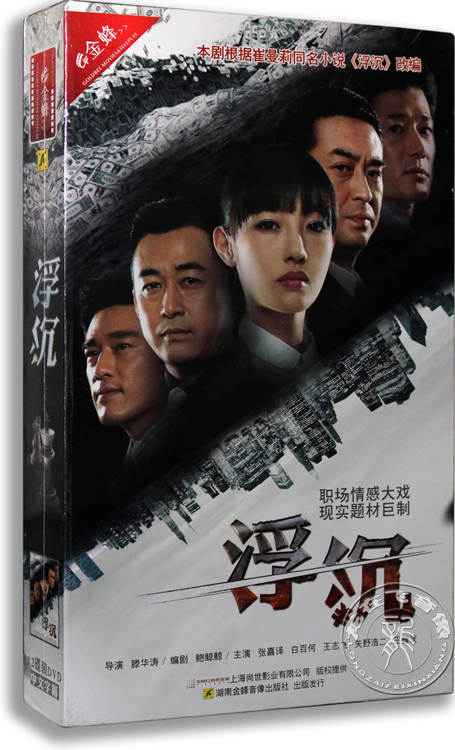 正版电视剧 浮沉12DVD 珍藏版 张嘉译 白百何 王志飞 都市情感剧