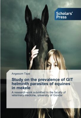 【预售】Study on the Prevalence of Git Helmi...