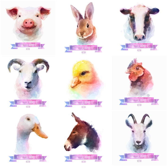 [335]水彩农场家禽鸡鸭鹅小黄鸭羊猪兔子插画 AI矢量设计素材