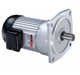 LUSON马达 LY电机 LV18-200-5-S3  0.2KW 1:5 5IK60GU-S3TF(T1)