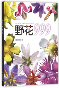 野花999/自然观察