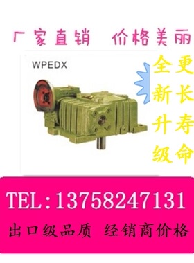 WPEDX WPEDO WPEDA WPEDS 双极 卧式 大速比 蜗轮蜗杆 WPE减速机