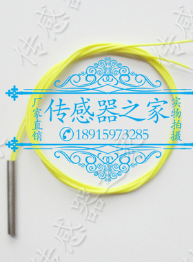 特细特小高精度铂电阻PT100A  PT1000A保护管 3*15 3*30 3*10