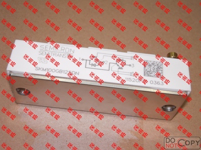 进口原装SKM100GB125DNIGBT模块