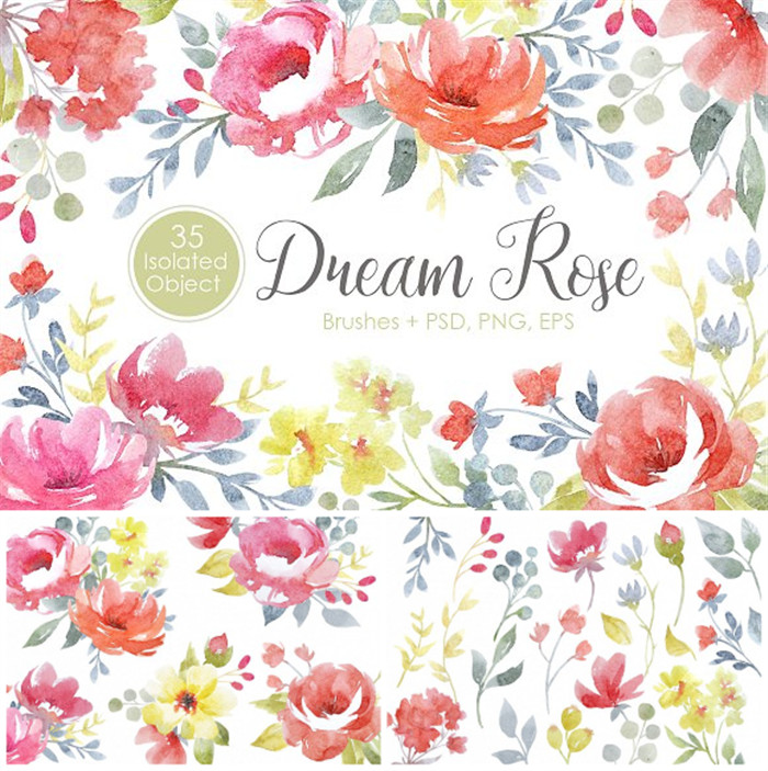 [505]水彩dream rose手绘玫瑰插画png psd ai矢量设计素材