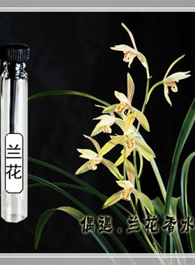 花香偶遇私家偶遇私家兰花香水