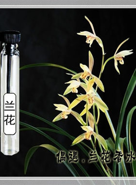 花香偶遇私家偶遇私家兰花香水
