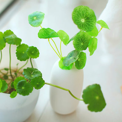 zakka仿真花 仿真铜钱草假花小荷叶 小清新