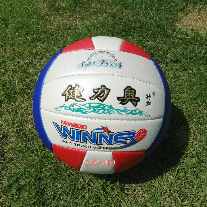 Ballon de volley-ball - Ref 2010798 Image 1