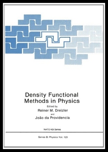 预售 Functional Density Physics Methods