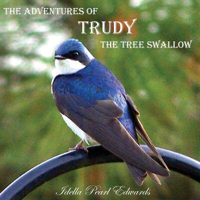 【预售】The Adventures of Trudy the Tree Swallow