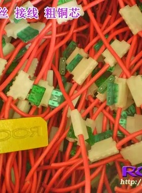 美国 USA 30A安培 保险丝片 带接电线 活动更换电流安数 粗铜芯