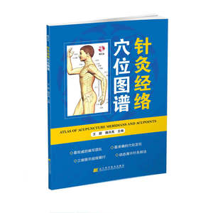 针灸经络穴位图谱