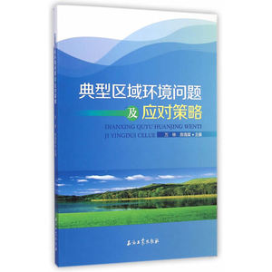 典型区域环境问题及应对策略