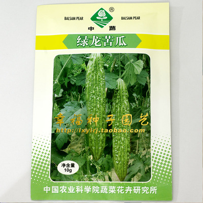 农科院绿龙产量高易种植苦瓜