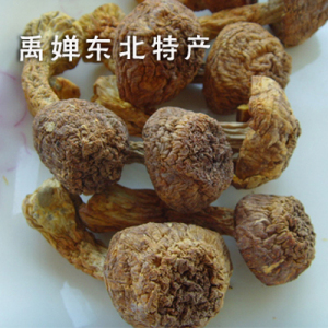 东北特产 松茸松茸菌类  250克
