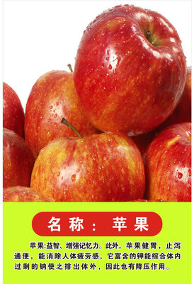 749海报印制展板写真喷绘769鲜果水果品种介绍及功效图片之苹果