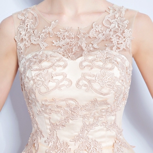 Champagne lace on the bridesmaid dress for the bride wedding dresses and the wedding dresses
