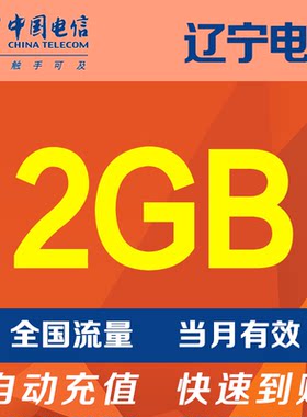 辽宁电信流量2G 手机流量全国通用流量当月有效自动充值 YZM