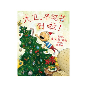大卫，圣诞节到啦！启发精选国际大师绘本系列大卫香农