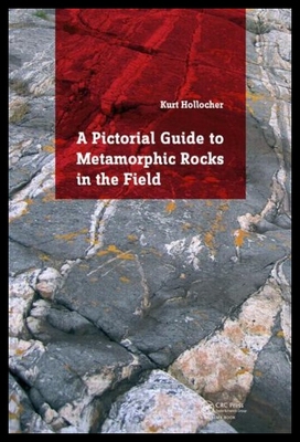 【预售】Metamorphic Rocks in the Field