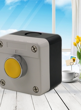 按钮开关控制盒单孔按钮盒带开关黄色自复位1开明装成套XB2-10BN