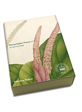 【预订】Remarkable Plants: Box of 20 Notecards