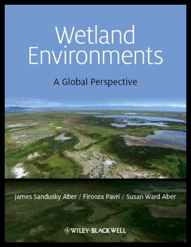【预售】Wetland Environments: A Global Perspective