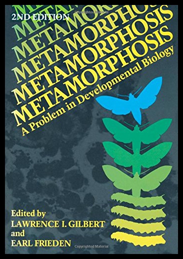 美国库房发货，通常付款后5-8周到货！