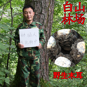 东北特产伊春黑木耳小碗野生木耳干货无根秋木耳250g包邮