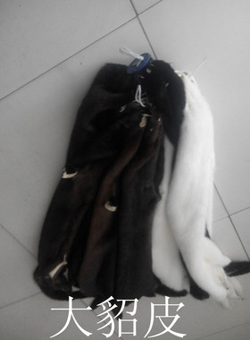 水貂皮干洗皮毛裘皮加工皮草貂毛毛围脖熟皮皮子原料标本黑色围巾