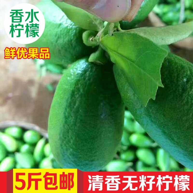 海南四季新鲜水果多汁无籽香水柠檬特价奶茶一斤装满5斤包邮