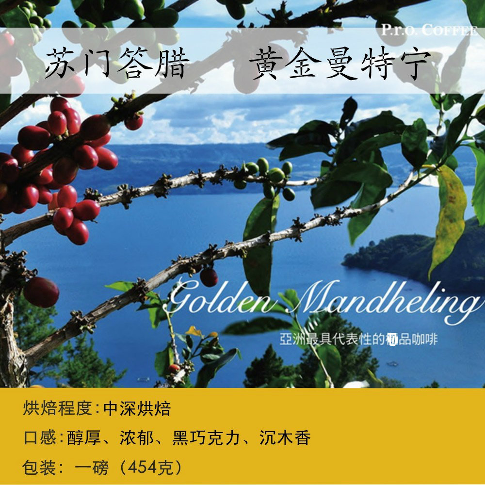 单品印尼黄金曼特宁风味咖啡豆 新鲜烘焙可意式曼特宁咖啡粉 一磅