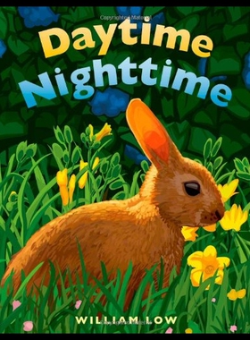 【预售】Daytime Nighttime